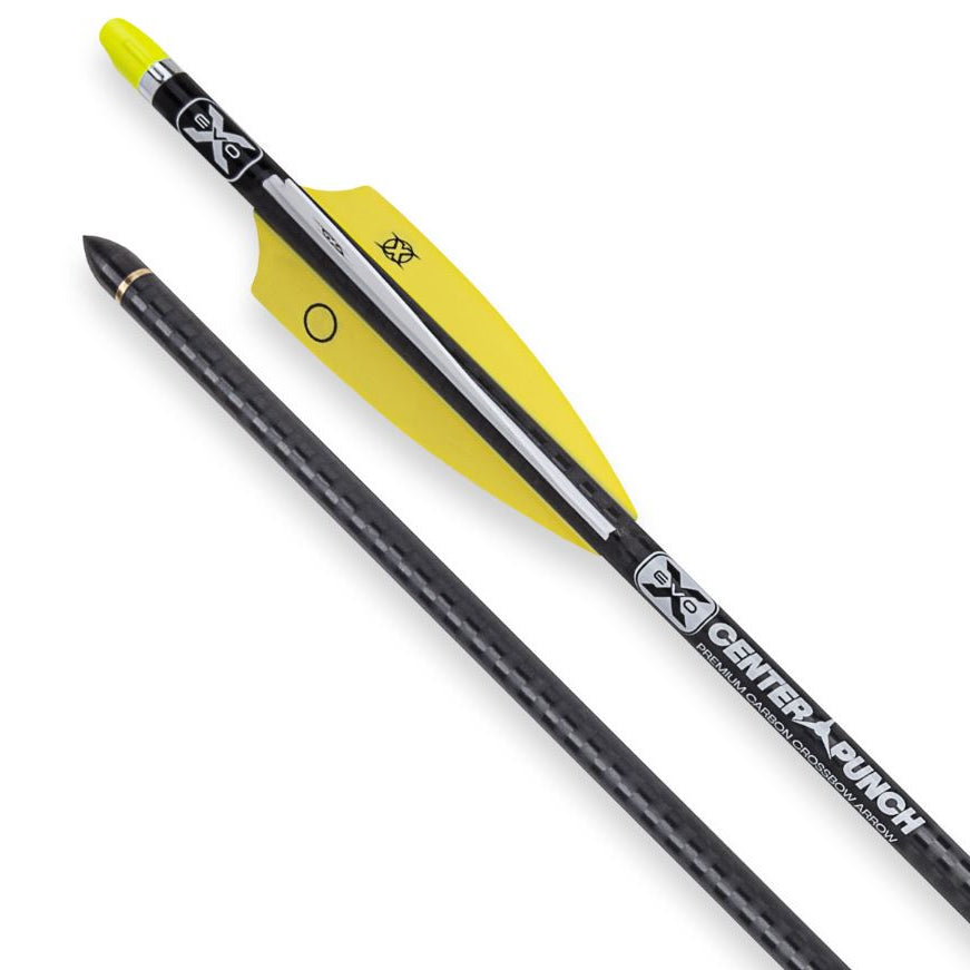 ten-point,-flࣈche-d'arbalete-center-punch-20-"-hea-740