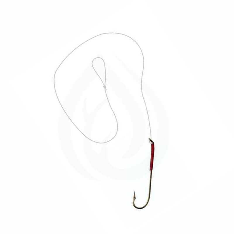 etic-hamecon-carlisle