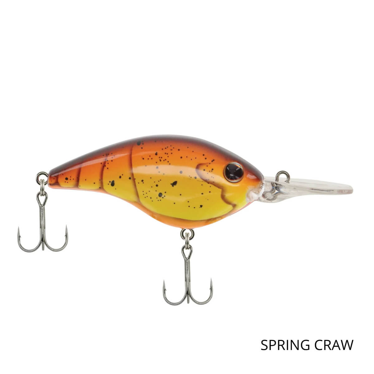 Poisson nageur Frittside 7