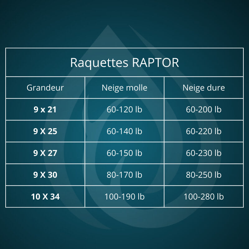 charte-raquette-coldfield-raptor