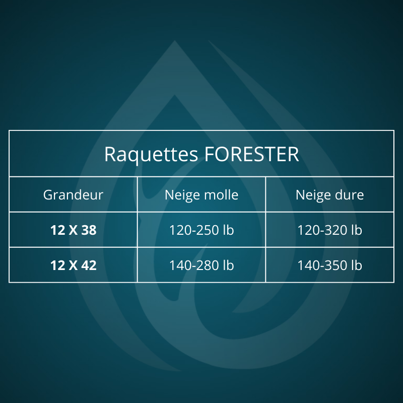 coldfield-raquettes-forester