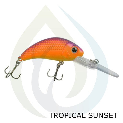 Poisson nageur Boogie Shad 5