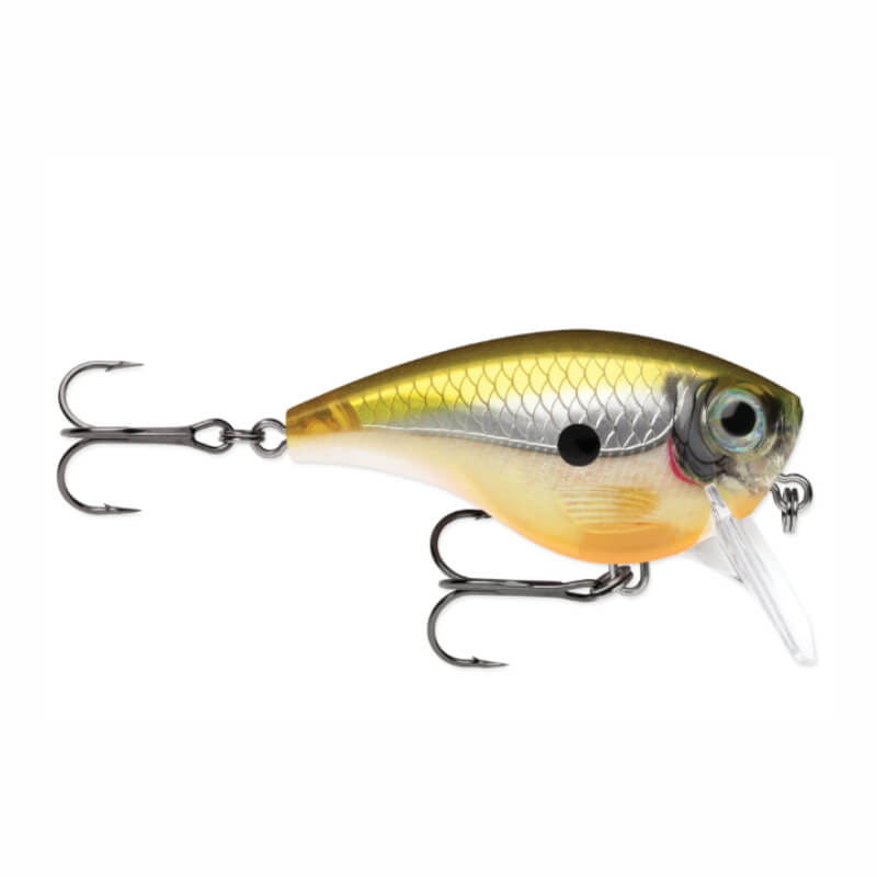 POISSON NAGEUR BX MID BRAT 05
