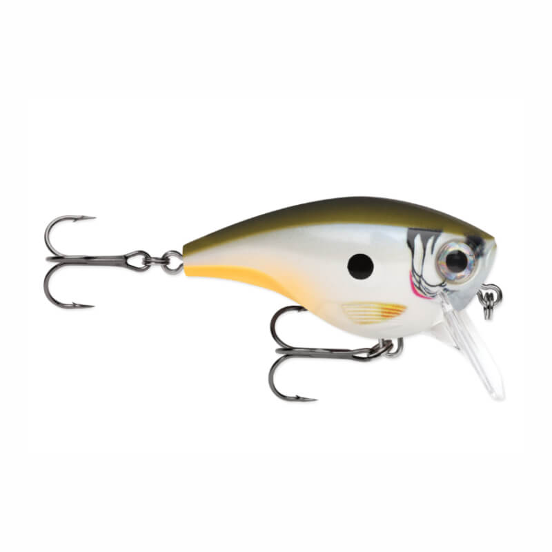 POISSON NAGEUR BX MID BRAT 05