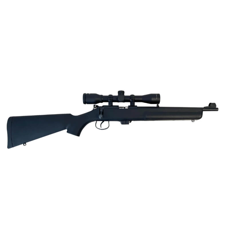 carabine-norinco-22lr-courte