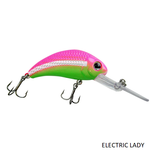 Poisson nageur Boogie Shad 5