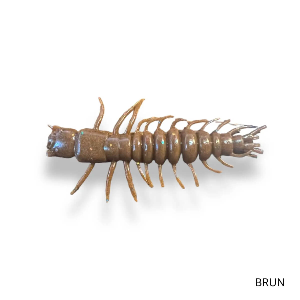 malade-de-peche-hellgramite-brun