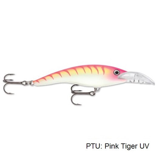 Poisson nageur Scatter Rap Tail Dancer 09