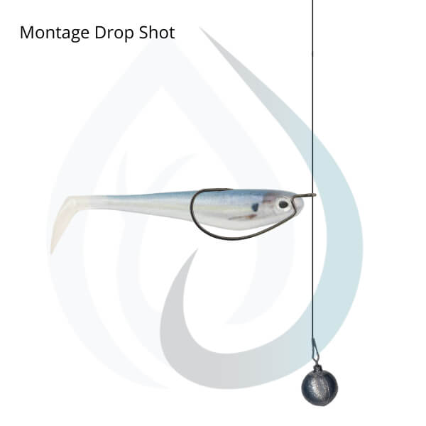 montage-drop-shot-plomb-rond_1