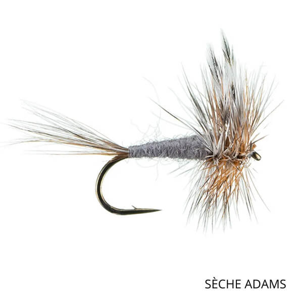 mouche-seche-neptune-adams