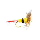 neptune-mouche-seche-bee