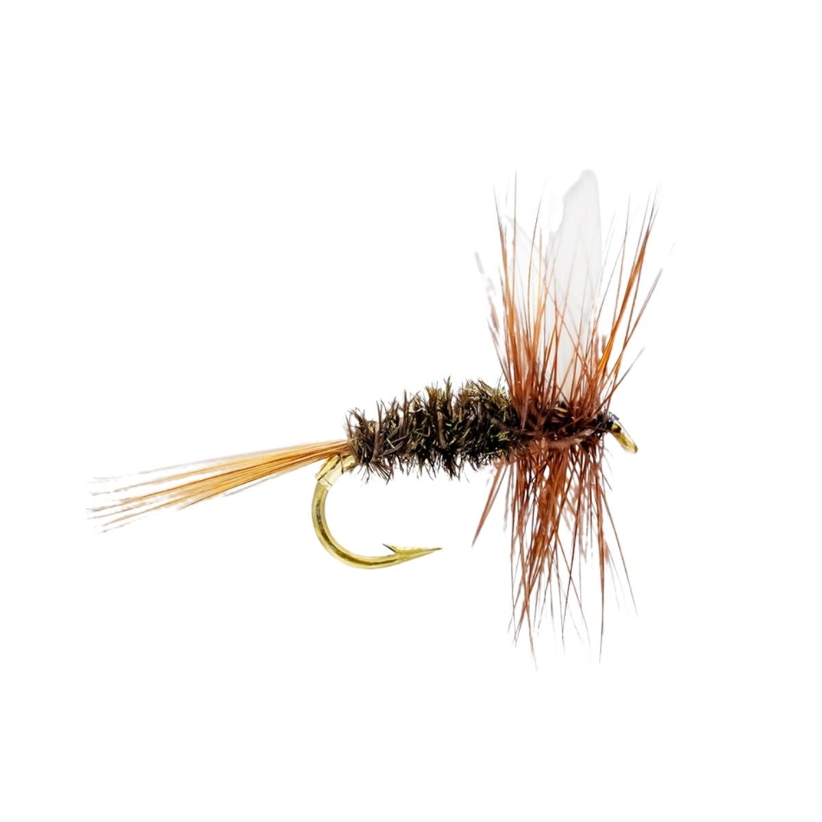 neptune-mouche-seche-coachman