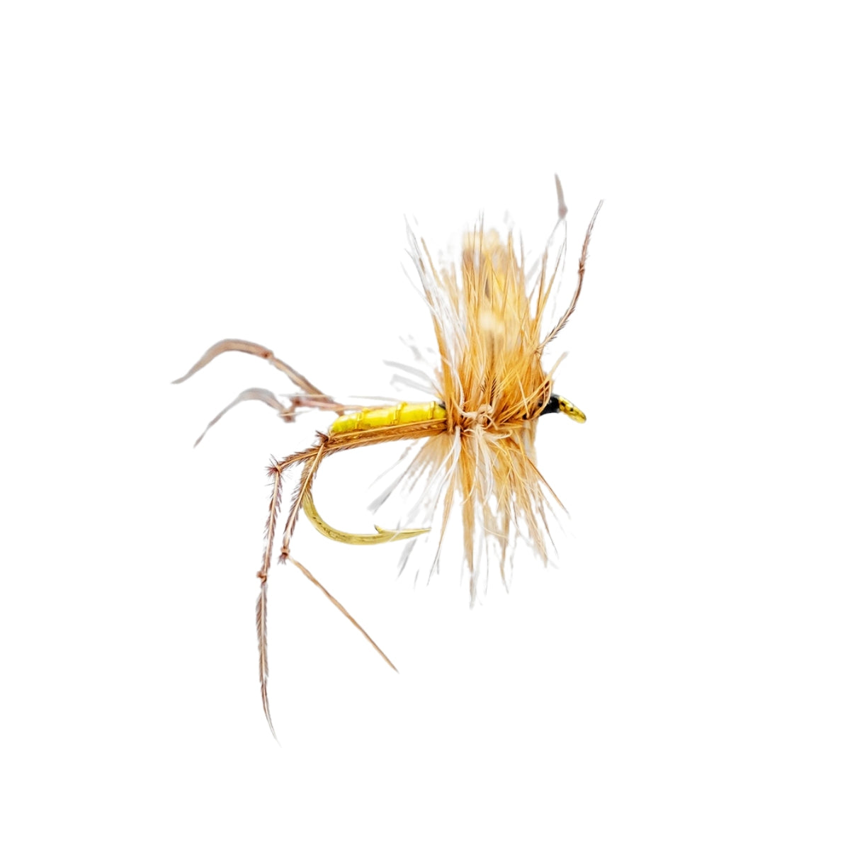 neptune-mouche-seche-crane-fly