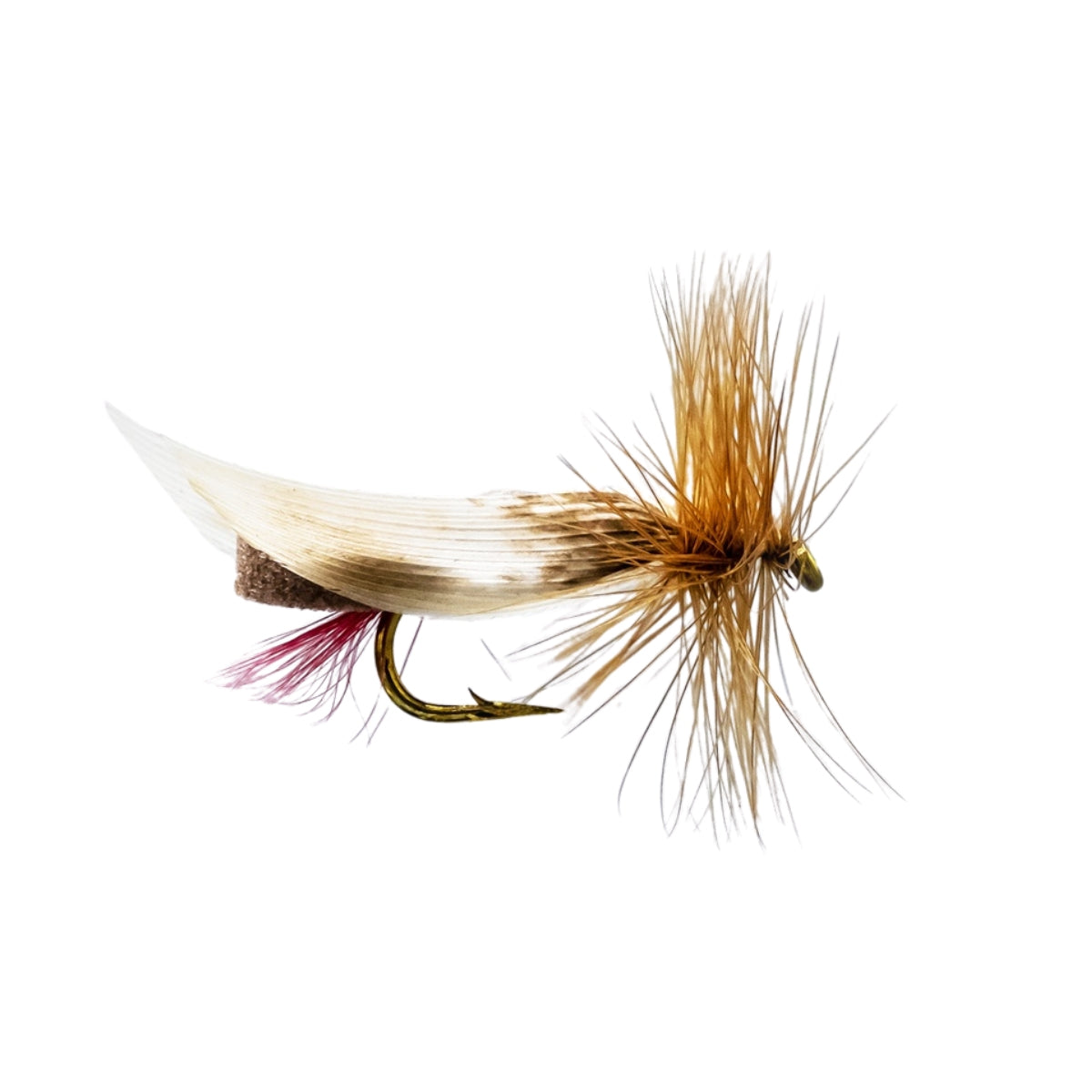 neptune-mouche-seche-foam-body-brown