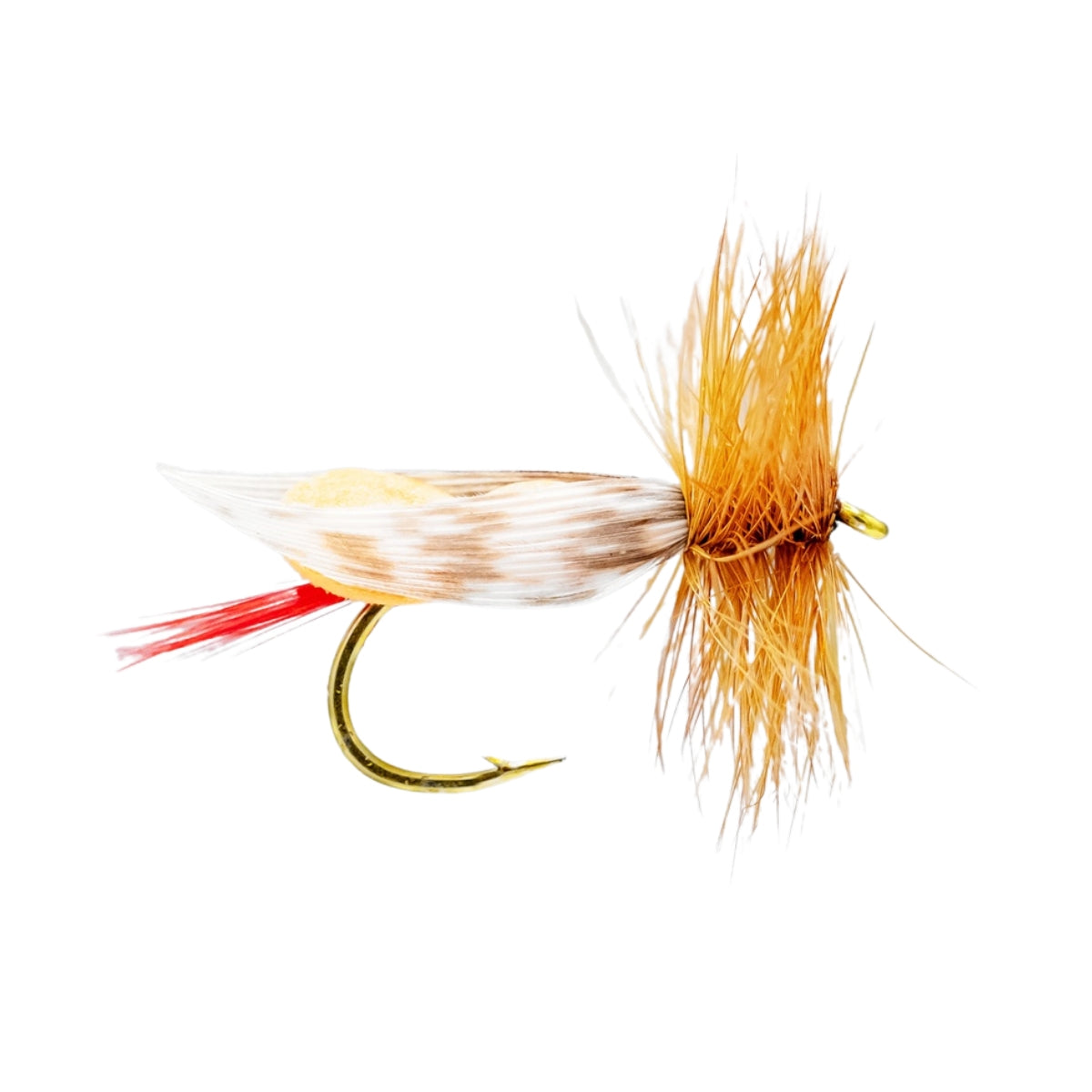 neptune-mouche-seche-foam-body-orange