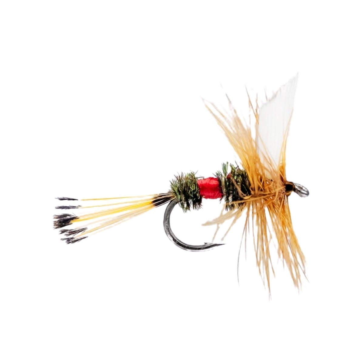 neptune-mouche-seche-royal-coachman