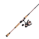 penn-combo-peche-passion-ii