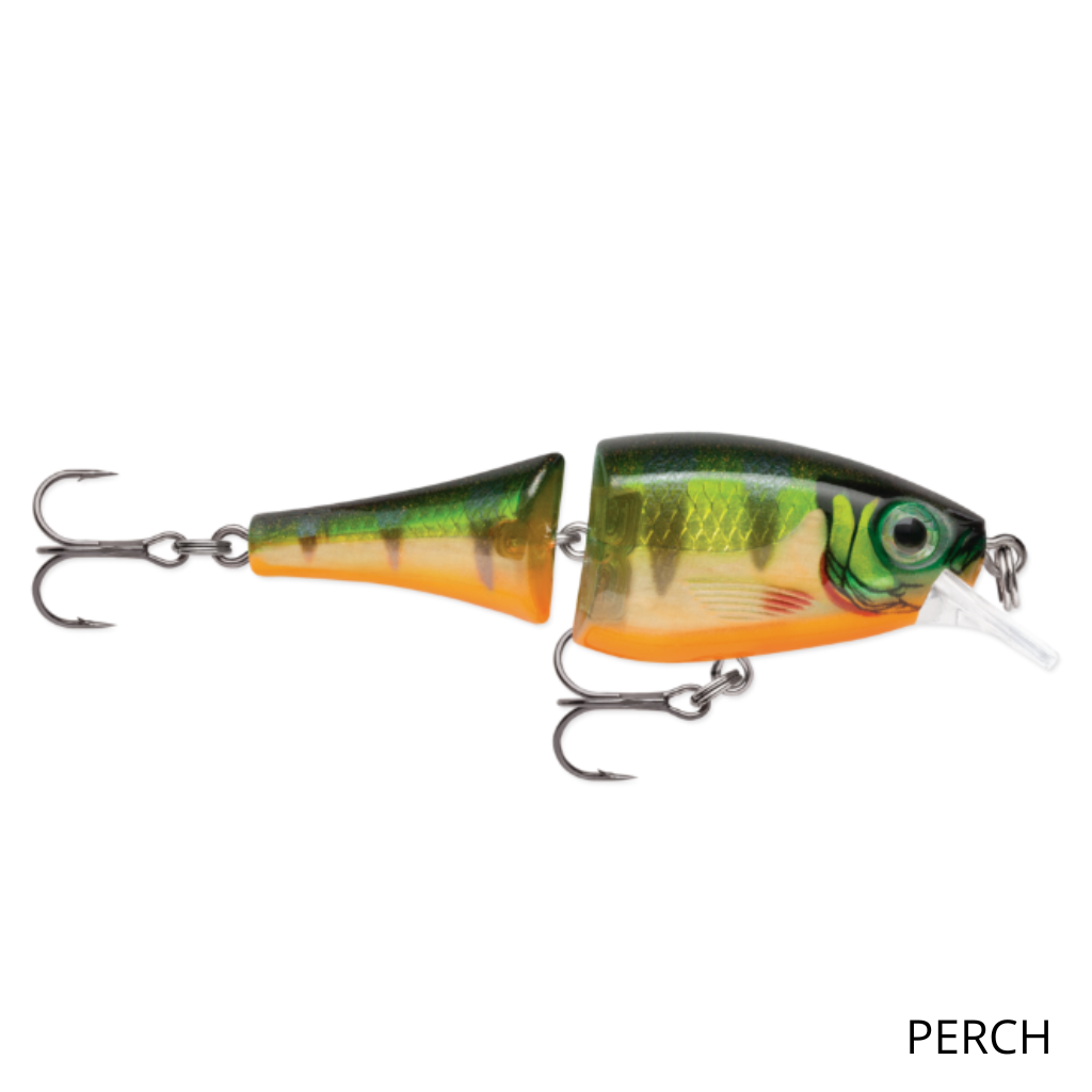 rapala-bx-jointed-shad-perch