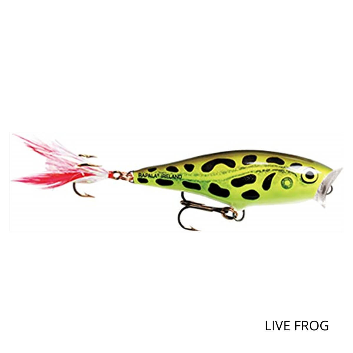 Poisson Skitter Pop 05