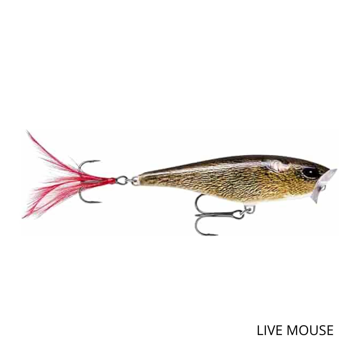 Poisson Skitter Pop 05