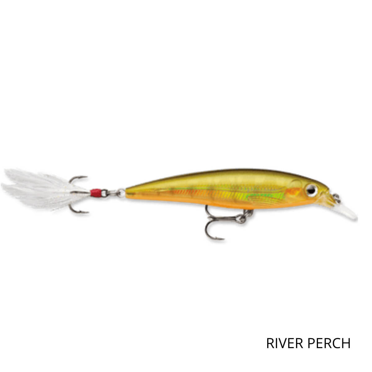 Poisson nageur X-Rap 10