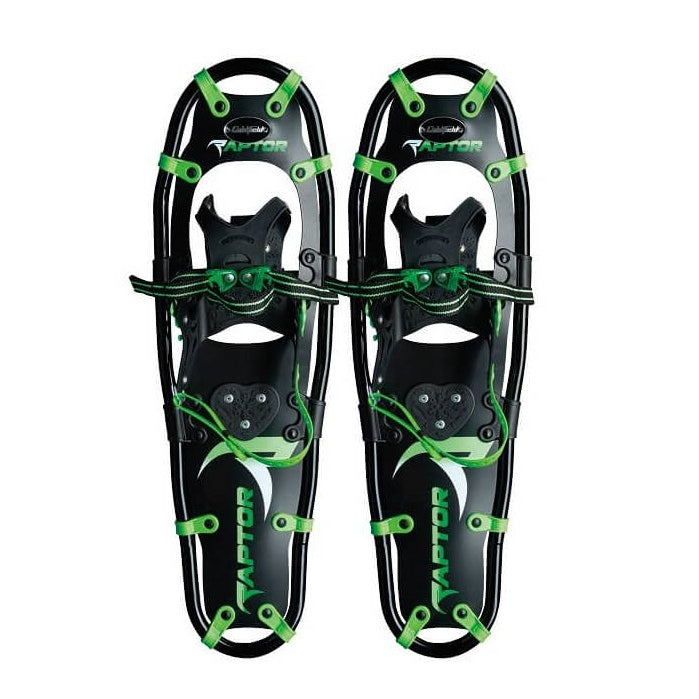 raquettes-coldfield-raptor