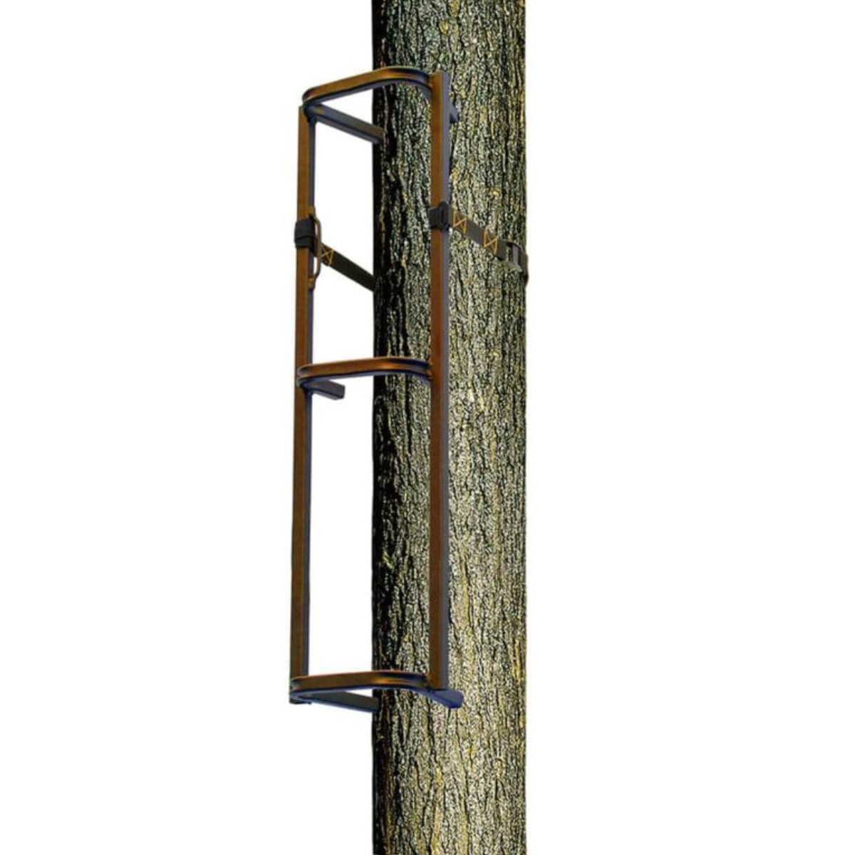 rhino-section-echelle-rtcs-100