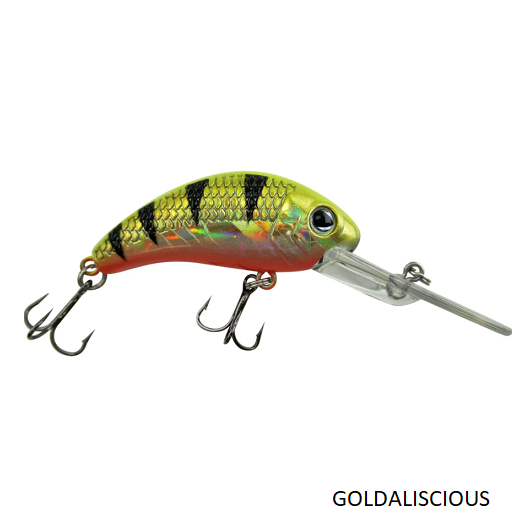 Poisson nageur Boogie Shad 5