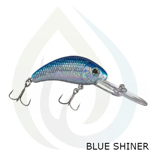 Poisson nageur Boogie Shad 5