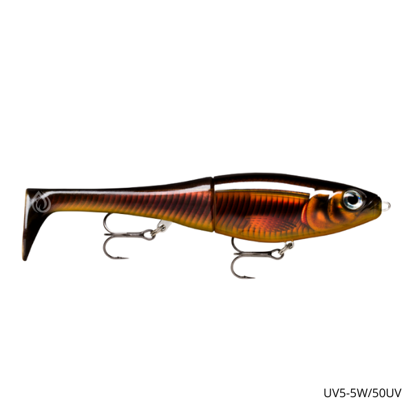 Poisson X-RAP PETO 20