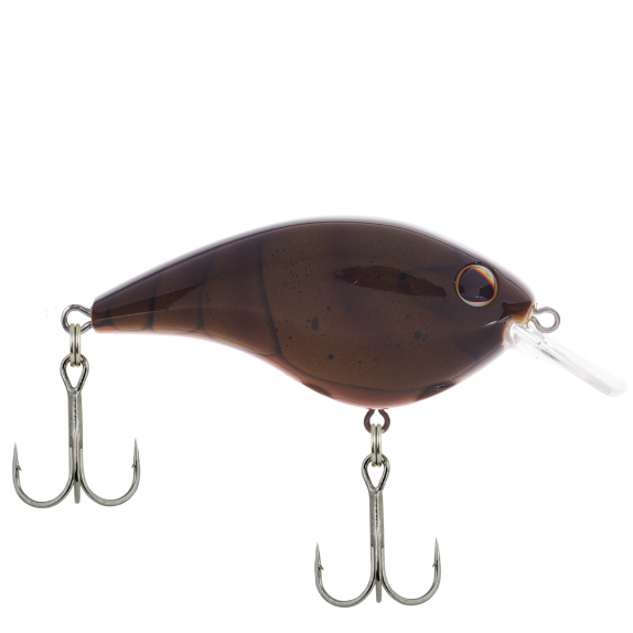 Poisson nageur Frittside 7