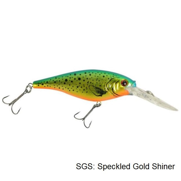 Poisson nageur Flicker shad 4