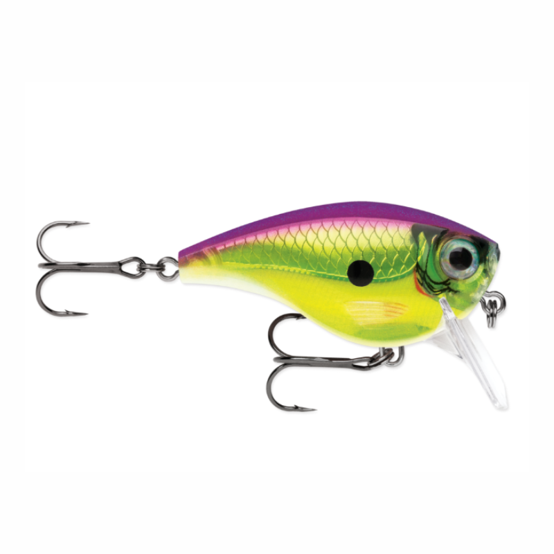 POISSON NAGEUR BX MID BRAT 05