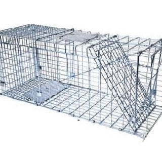 coldfield,-cage-pour-capture-vivante-dpe-12309