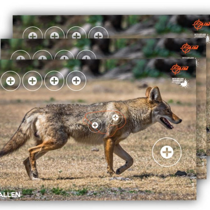 allen-cibles-coyote-ez-aim-splash-15266