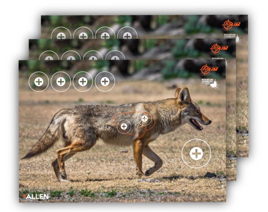 allen-cibles-coyote-ez-aim-splash-15266