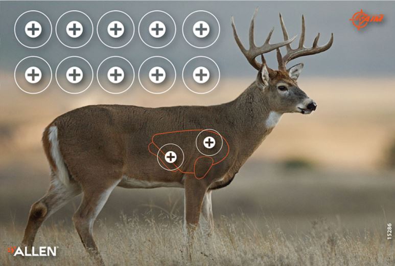 allen-cibles-chevreuil-15286