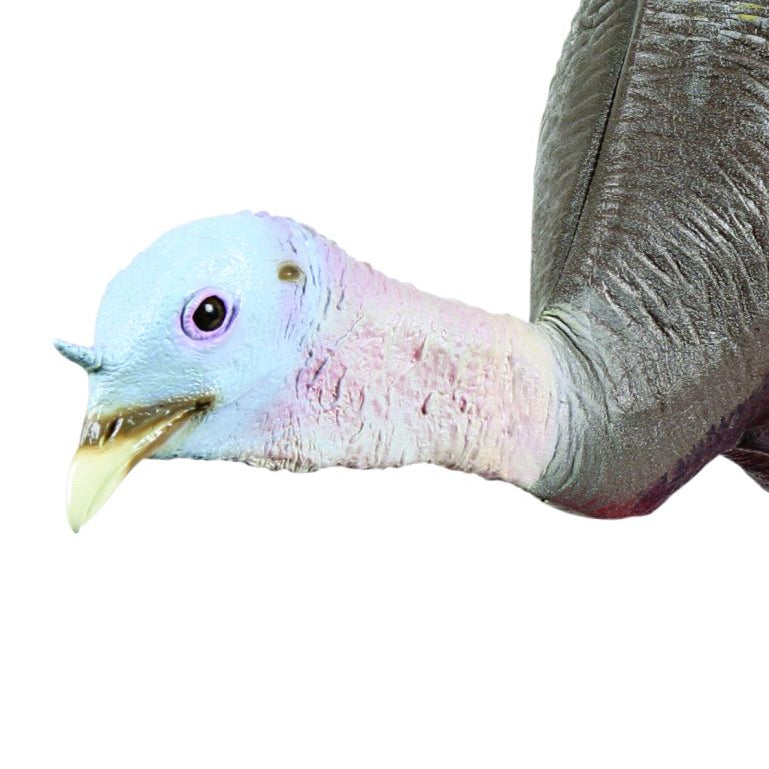 ,--