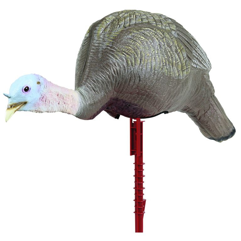 ,--