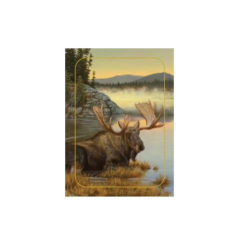 entrepot-du-chasseur-jeu-carte-edccartor