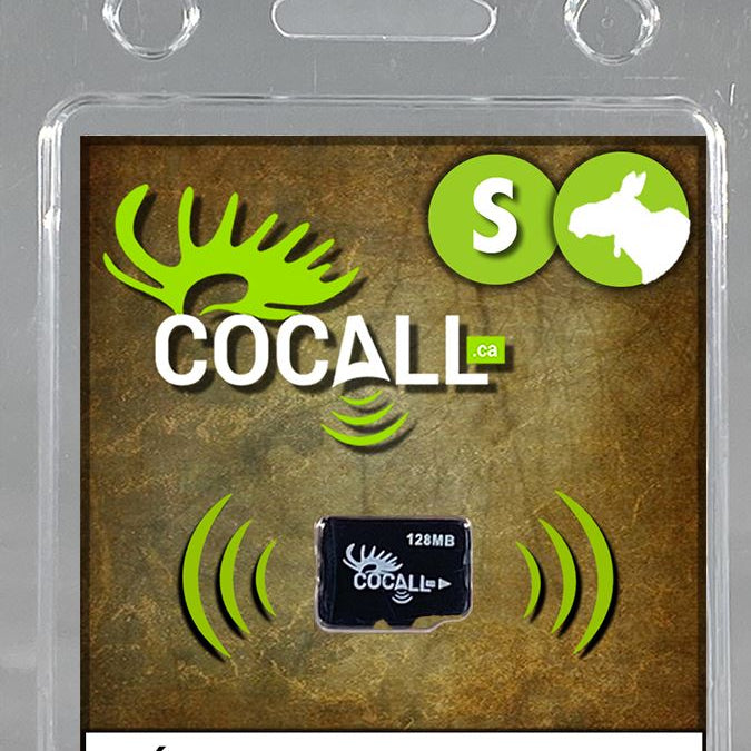 cocall,-carte-de-son-cocall-femelle-orignal-maaheu-msdsema