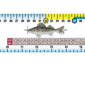 nature-chasse-et-peche-regle-peche-autocollant-91-cm-