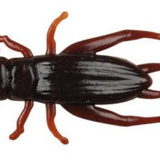 berkley-leurres-gulp-cricket-1"-ghcr1-bre