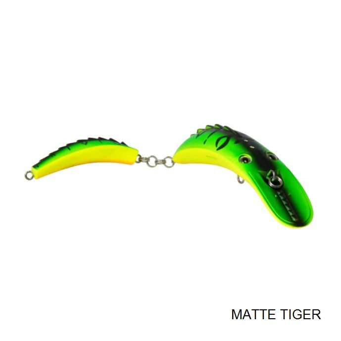 livingston-poisson-nageur-dirty-dancer-143-5469ll