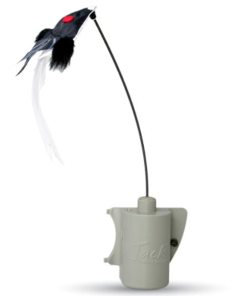 foxpro,-appelant-foxjack-4-foxjack4