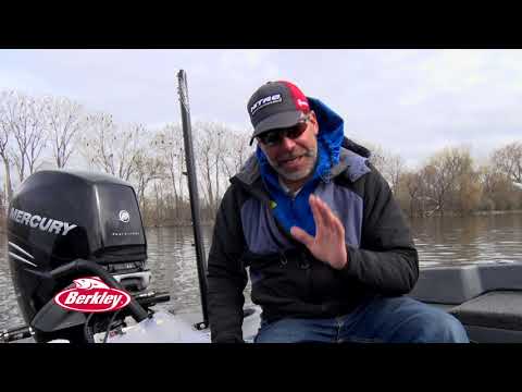 video-berkley-flicker-shad