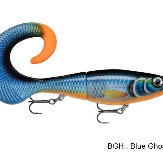 rapala,-poisson-nageur-x-rap-otus-xrou25pel