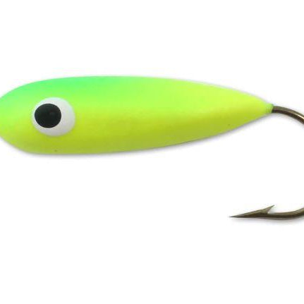 northland-gum-drop-parakeet