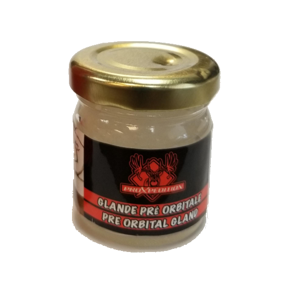 proxpedition-glande-pre-orbital-orb-01