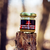 proxpedition-glande-pre-orbital-orb-01